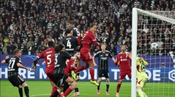 موعد مباراة ليفربول وبرايتون في البريميرليج وموقف محمد صلاح من المشاركة 1